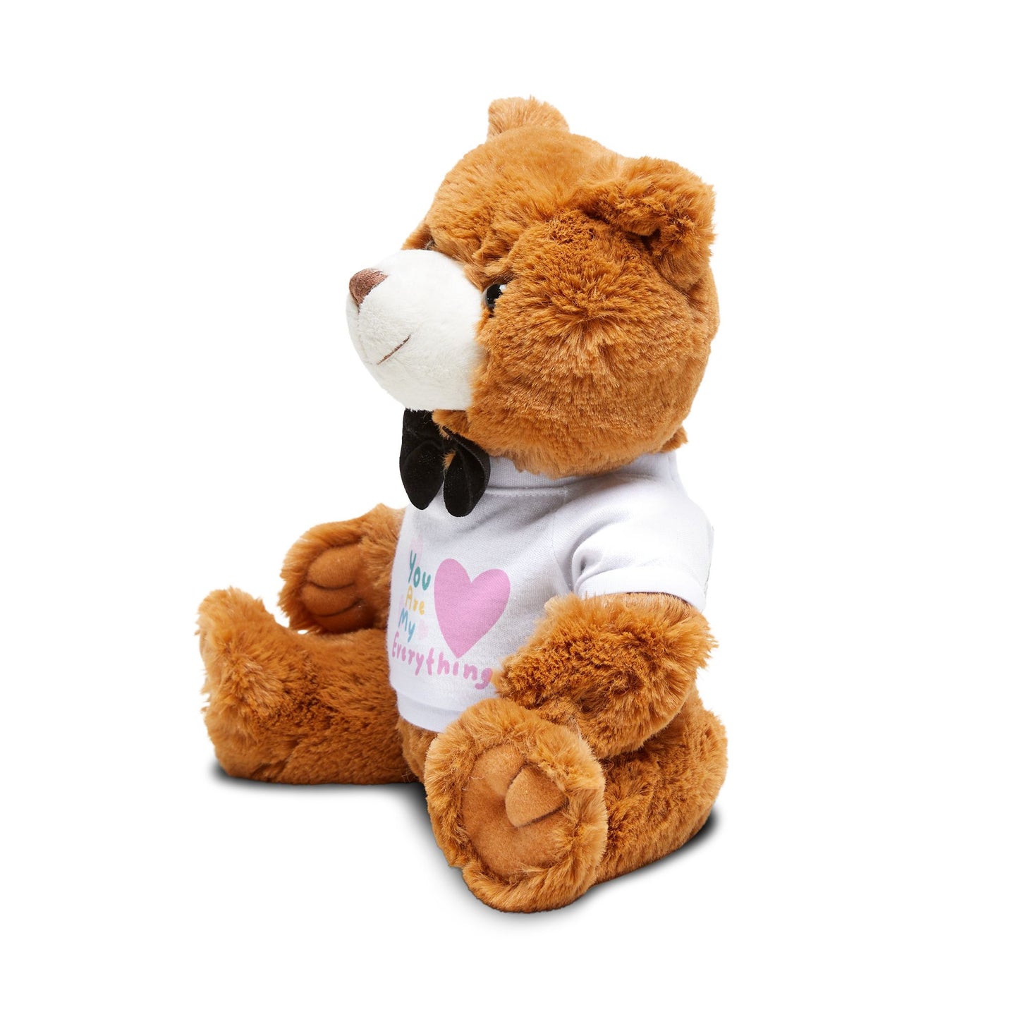 Teddy Bear with T-Shirt (You Are My Everything)