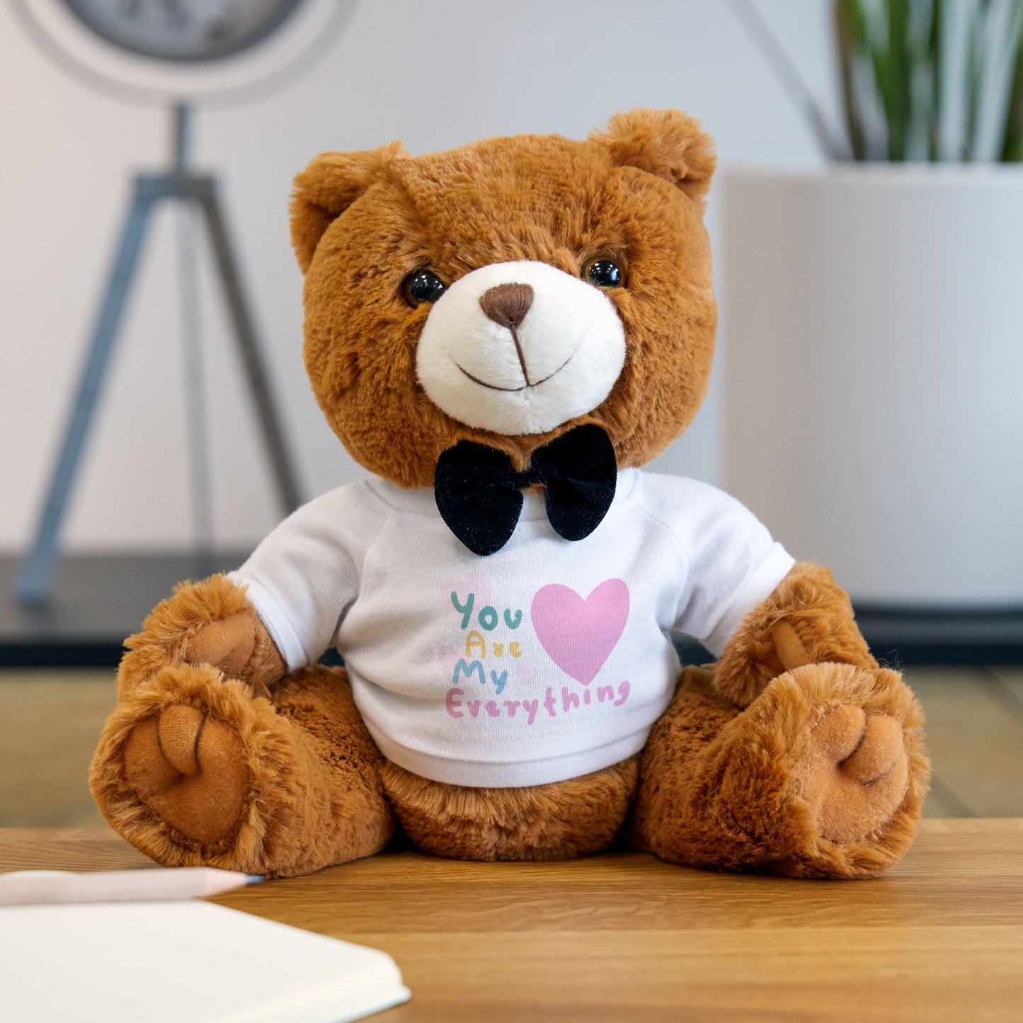 Teddy Bear with T-Shirt (You Are My Everything)