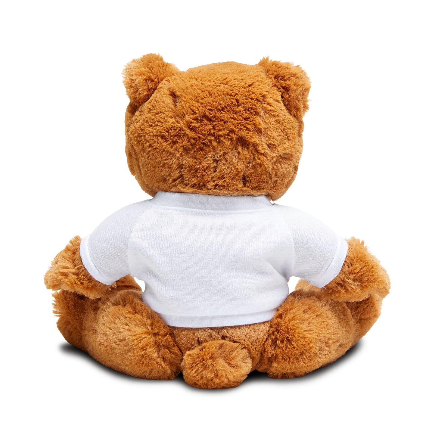 Teddy Bear with T-Shirt (You Are My Everything)