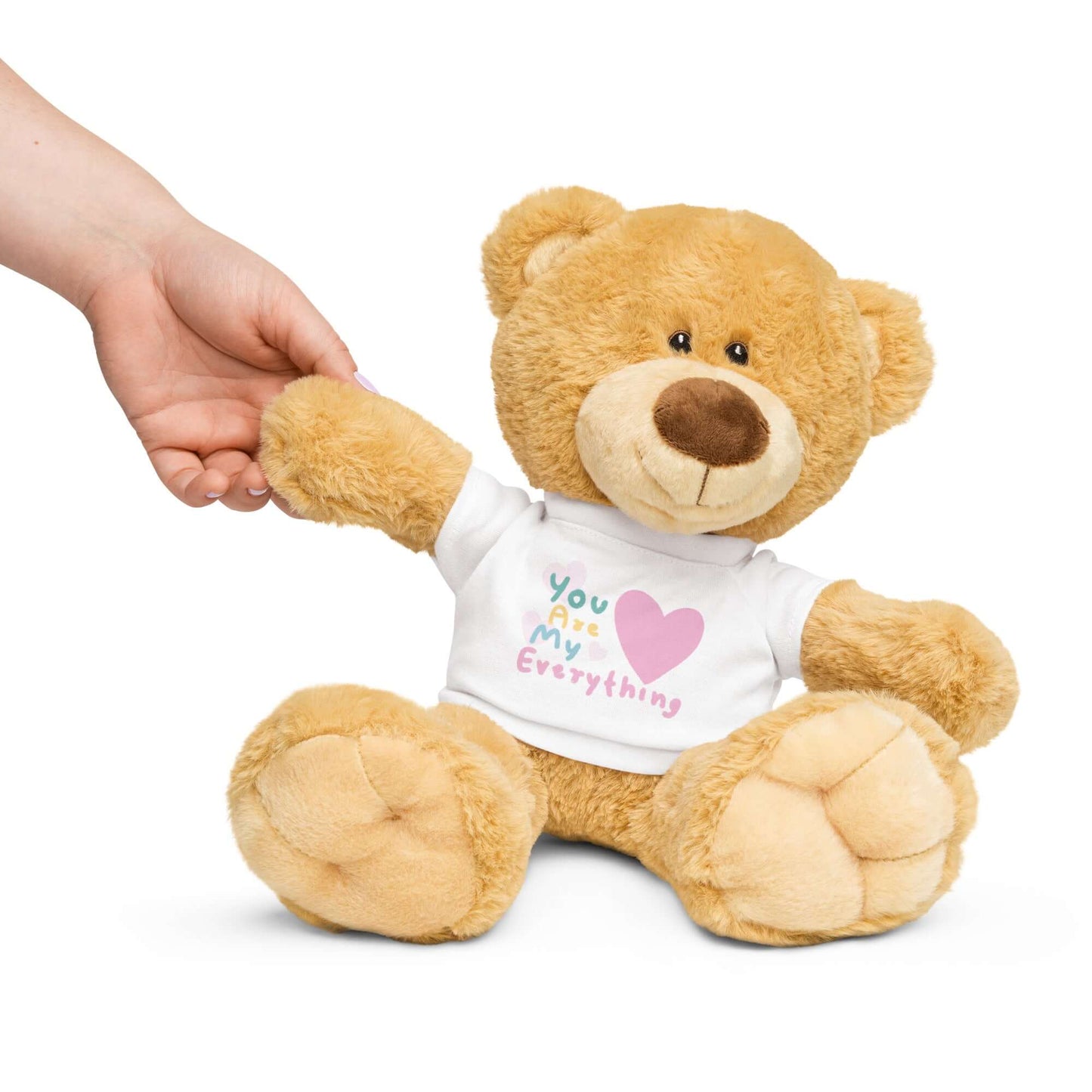 Teddy bear with a t-shirt (You Are My Everything)