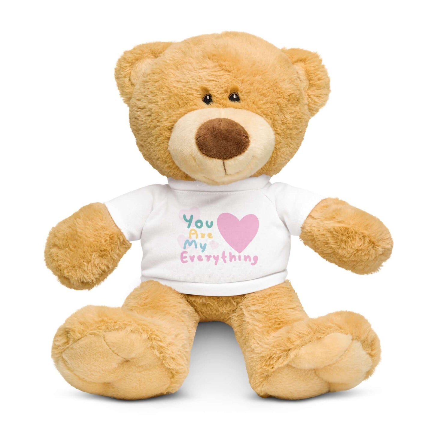 Teddy bear with a t-shirt (You Are My Everything)