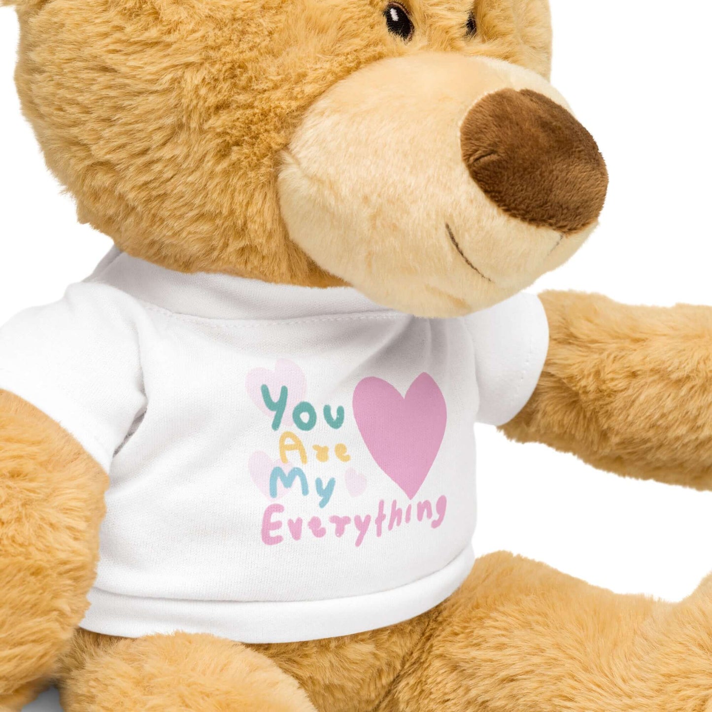 Teddy bear with a t-shirt (You Are My Everything)